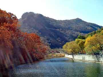 澳门二四六天天彩图库，制霸绿茵